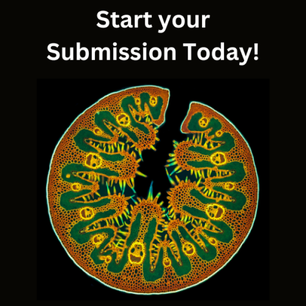 The M&M 2025 Call for Submission Site is now OPEN!