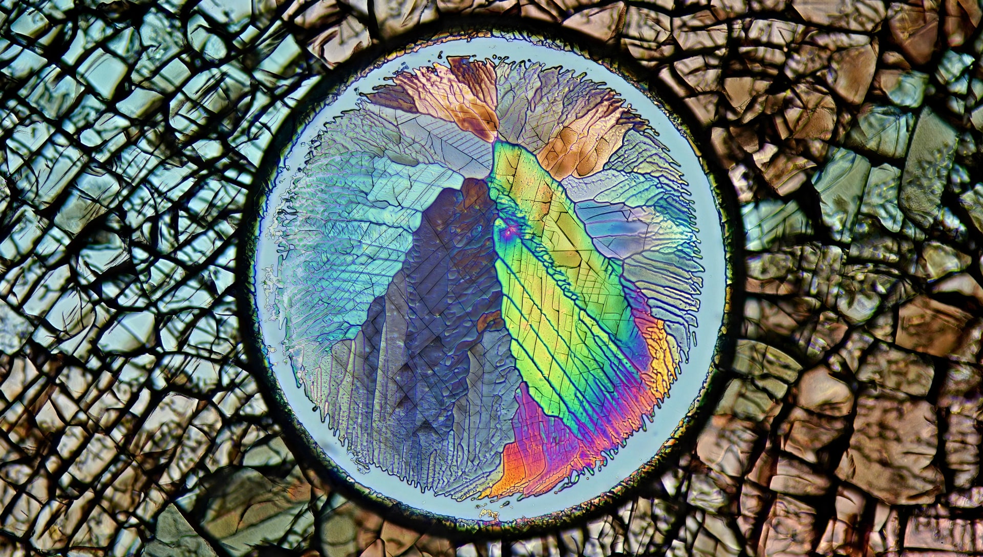 Meeting Publications