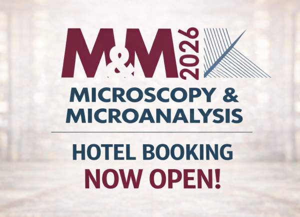 Hotel Booking Site Now OPEN